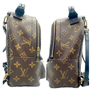 Louis Vuitton palm spring backpack mini, Celine necklace