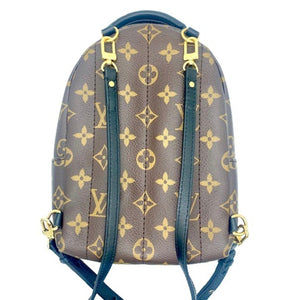 Louis Vuitton Canvas 2022 Monogram Mini Palm Springs Backpack